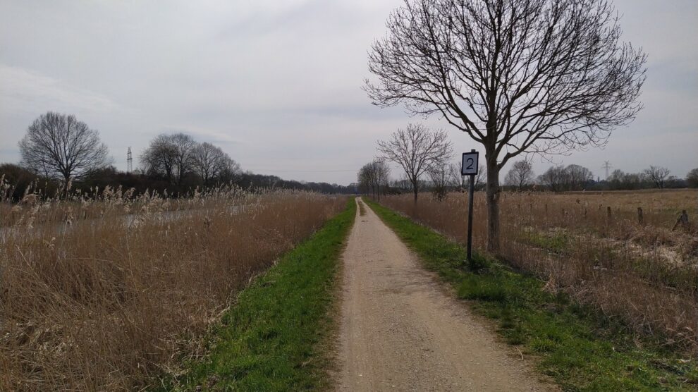 Am Elbe-Lübeck-Kanal, Radwanderweg